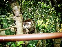 2020 Outing- Taipei Zoo 