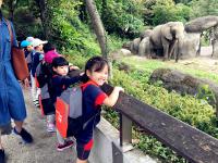 Taipei Zoo